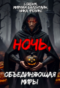 Обложка книги "Ночь, объединяющая миры"