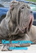 Обложка книги "Как выгулять... хозяина"