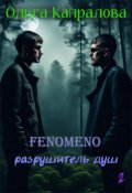 Обложка книги "Феномено-2. Разрушитель душ"