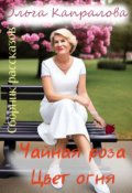 Обложка книги "Сборник рассказов"