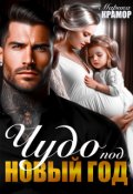 Обложка книги "Чудо под Новый год"