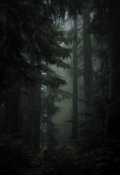 Обложка книги "Запретный лес"