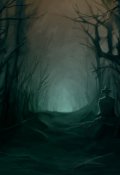 Обложка книги "Дорога на Медынь "