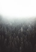 Обложка книги "Потерянный во тьме"