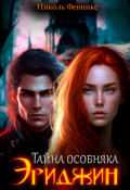 Обложка книги "Тайна особняка Эриджин"