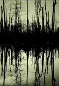 Обложка книги "Ушма"