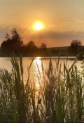 Обложка книги "Безрассудный поступок"