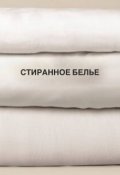 Обложка книги "Стиранное белье"