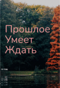 Обложка книги "Прошлое умеет ждать"