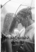 Обложка книги "Не забывай меня"