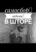 Обложка книги "Ведьмы в шторе. Самосбор"