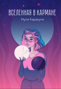 Обложка книги "Вселенная в кармане"