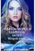 Обложка книги "Побег из Морга ll Габриэль. часть 2, том 1 Второй шанс"