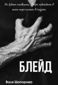 Обложка книги "Блейд"