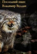 Обложка книги "Последний шанс."