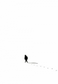 Обложка книги "перемены"