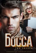 Обложка книги "Два Босса . Три засоса. Две части."