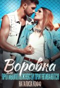 Обложка книги "Воровка"
