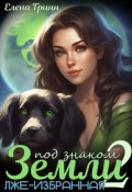 Обложка книги "Под знаком Земли 2. Лже-Избранная."