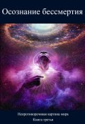 Обложка книги "Осознание бессмертия"