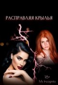 Обложка книги "Расправляя Крылья"