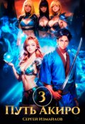 Обложка книги "Путь Акиро 3"