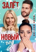 Обложка книги "Залёт под Новый год"