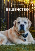 Обложка книги "Бешенство"