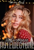 Обложка книги "Новогоднее путешествие"