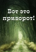 Обложка книги "Вот это приворот!"
