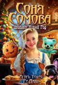 Обложка книги "Соня Сомова спасает Новый Год"