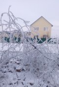 Обложка книги "Клюквенное счастье"