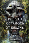 Обложка книги "Всё, что осталось от бездны"