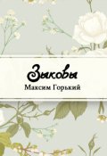 Обложка книги "Зыковы"