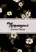 Обложка книги "Попрыгунья"