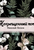 Обложка книги "Некрещеный поп"