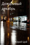 Обложка книги "Дождливый декабрь"