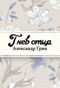 Обложка книги "Гнев отца"