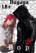 Обложка книги "Вор"