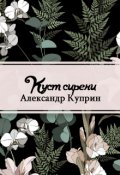 Обложка книги "Куст сирени"