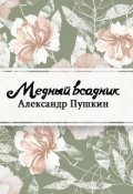 Обложка книги "Медный всадник"