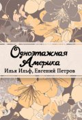 Обложка книги "Одноэтажная Америка"