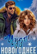 Обложка книги "Новогоднее чудо"