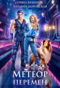 Обложка книги "Метеор перемен"