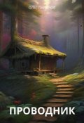 Обложка книги "Проводник"