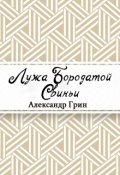 Обложка книги "Лужа Бородатой Свиньи"
