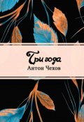 Обложка книги "Три года"