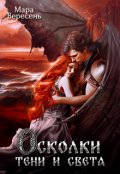 Обложка книги "Осколки тени и света"
