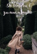 Обложка книги "До встречи в зимнем парке"