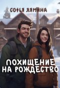 Обложка книги "Похищение на рождество"